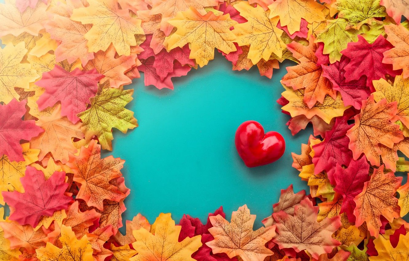 1332x850 Wallpaper autumn, leaves, love, heart, red, love, heart, autumn on WallpaperBat