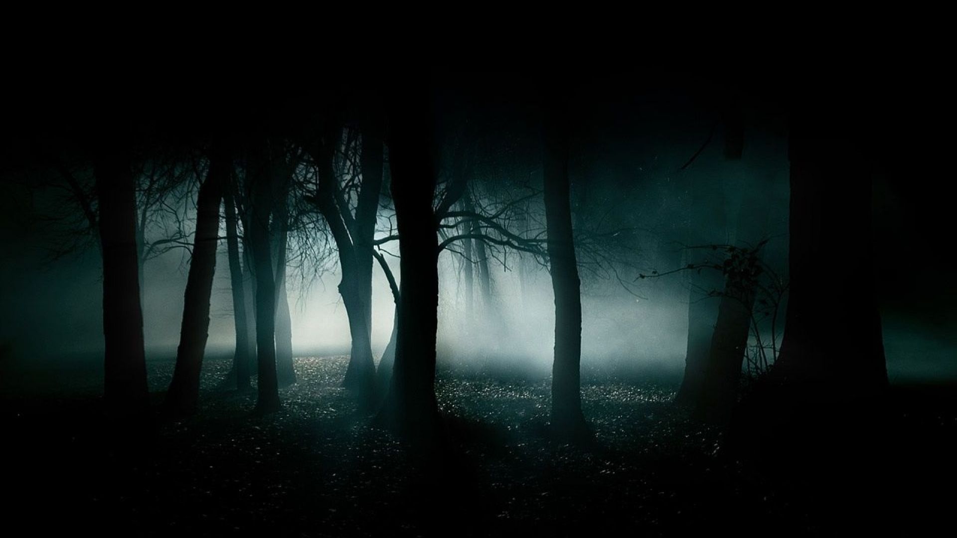 Creepy Forest Wallpapers - 4k, HD Creepy Forest Backgrounds on WallpaperBat