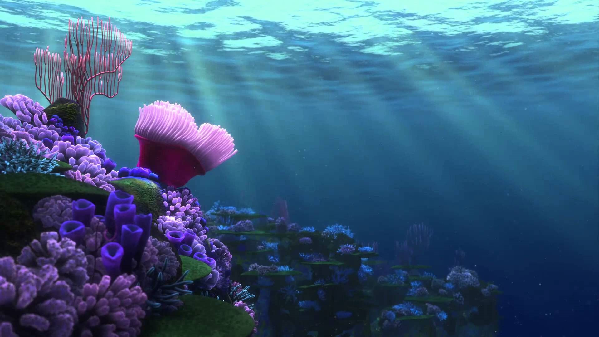 Finding Nemo Desktop Wallpapers 4k Hd Finding Nemo Desktop Backgrounds On Wallpaperbat 0583