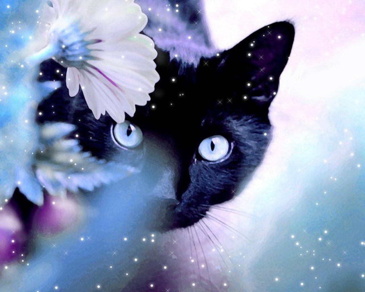 Blue And Black Cat Wallpapers 4k Hd Blue And Black Cat Backgrounds On Wallpaperbat