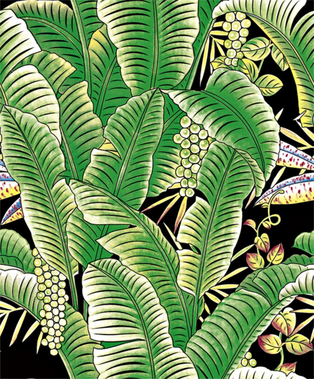Banana Leaf Wallpapers - 4k, HD Banana Leaf Backgrounds on WallpaperBat