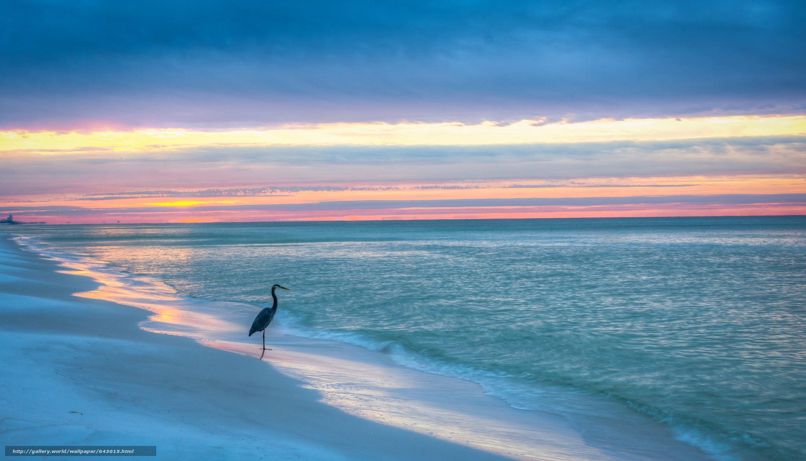 florida-sunset-wallpapers-4k-hd-florida-sunset-backgrounds-on