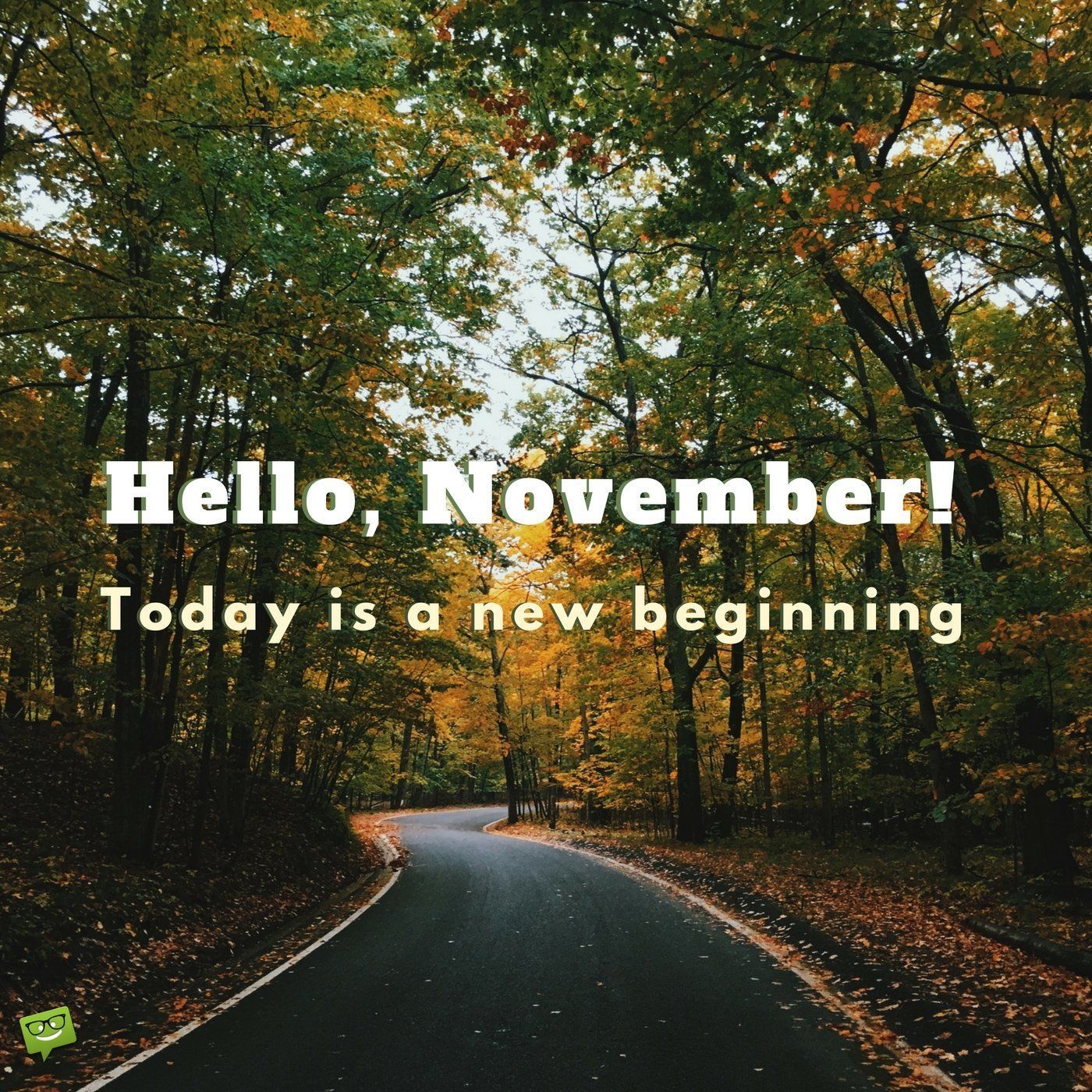 Beginning of november. November quotes. Обои на телефон New beginning. Фото Минимализм hello November. Sayings about November.