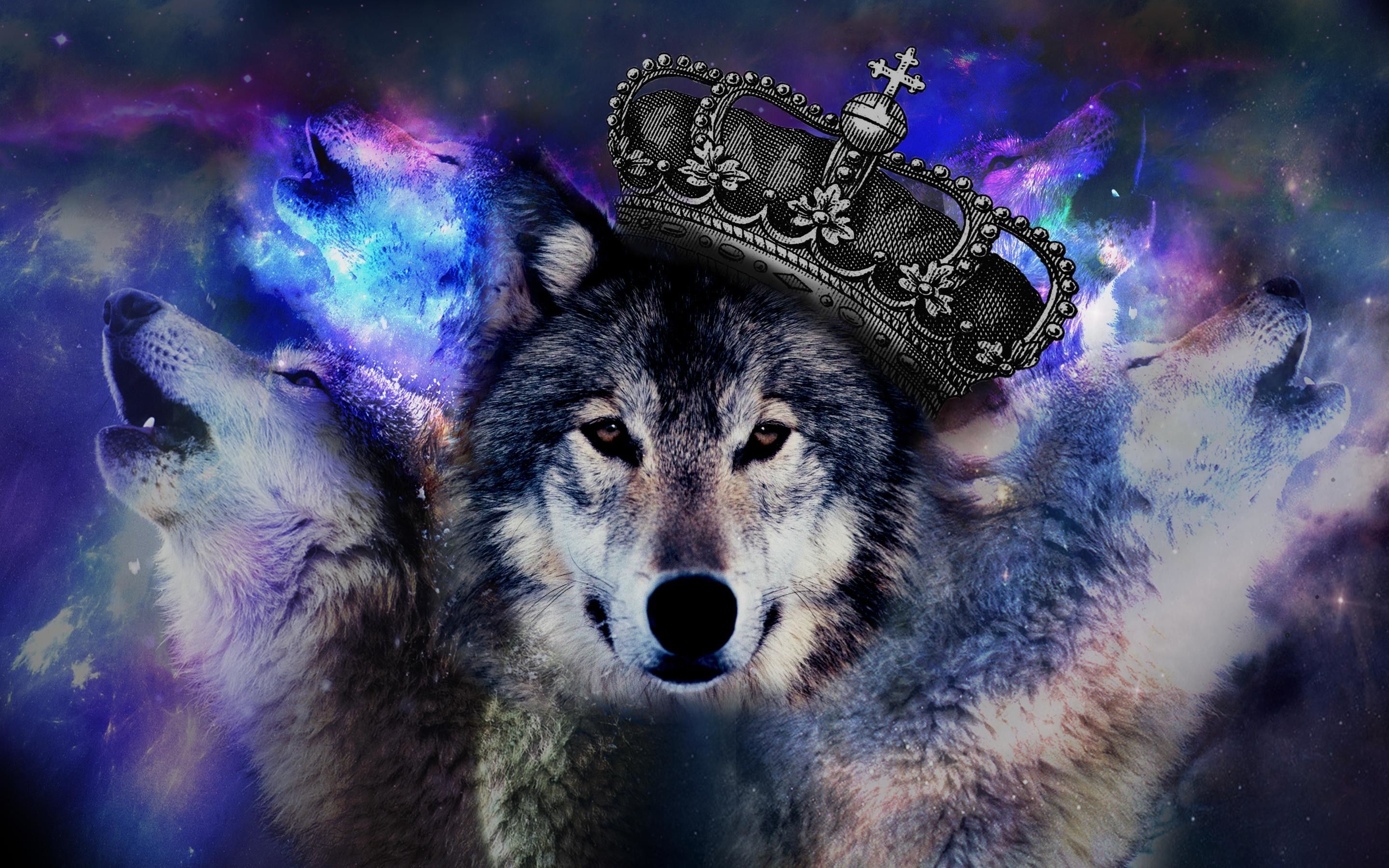 Galaxy Wolf Wallpapers - 4k, HD Galaxy Wolf Backgrounds on WallpaperBat