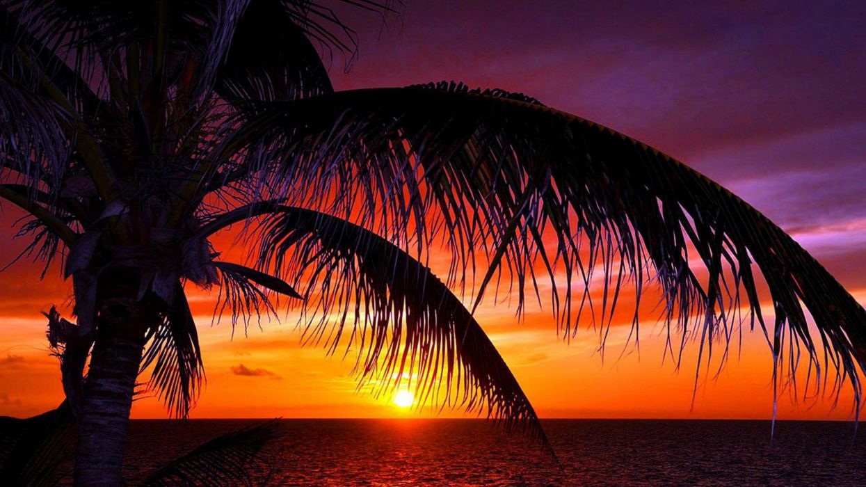 Tropical Sunset Wallpapers - 4k, HD Tropical Sunset Backgrounds on ...