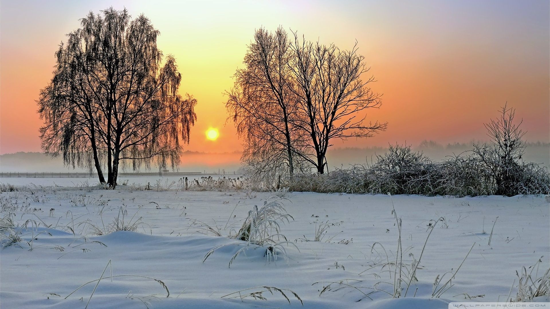 Winter Sunrise Wallpapers - 4k, HD Winter Sunrise Backgrounds on ...