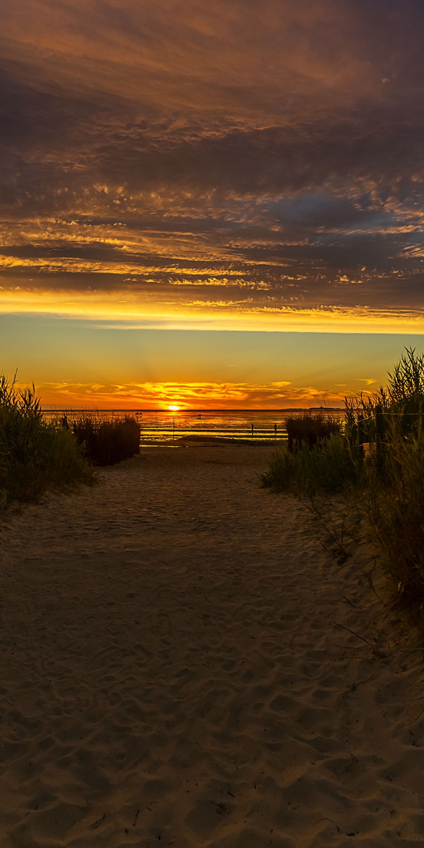 Beach Grass Sunset Wallpapers 4k Hd Beach Grass Sunset Backgrounds