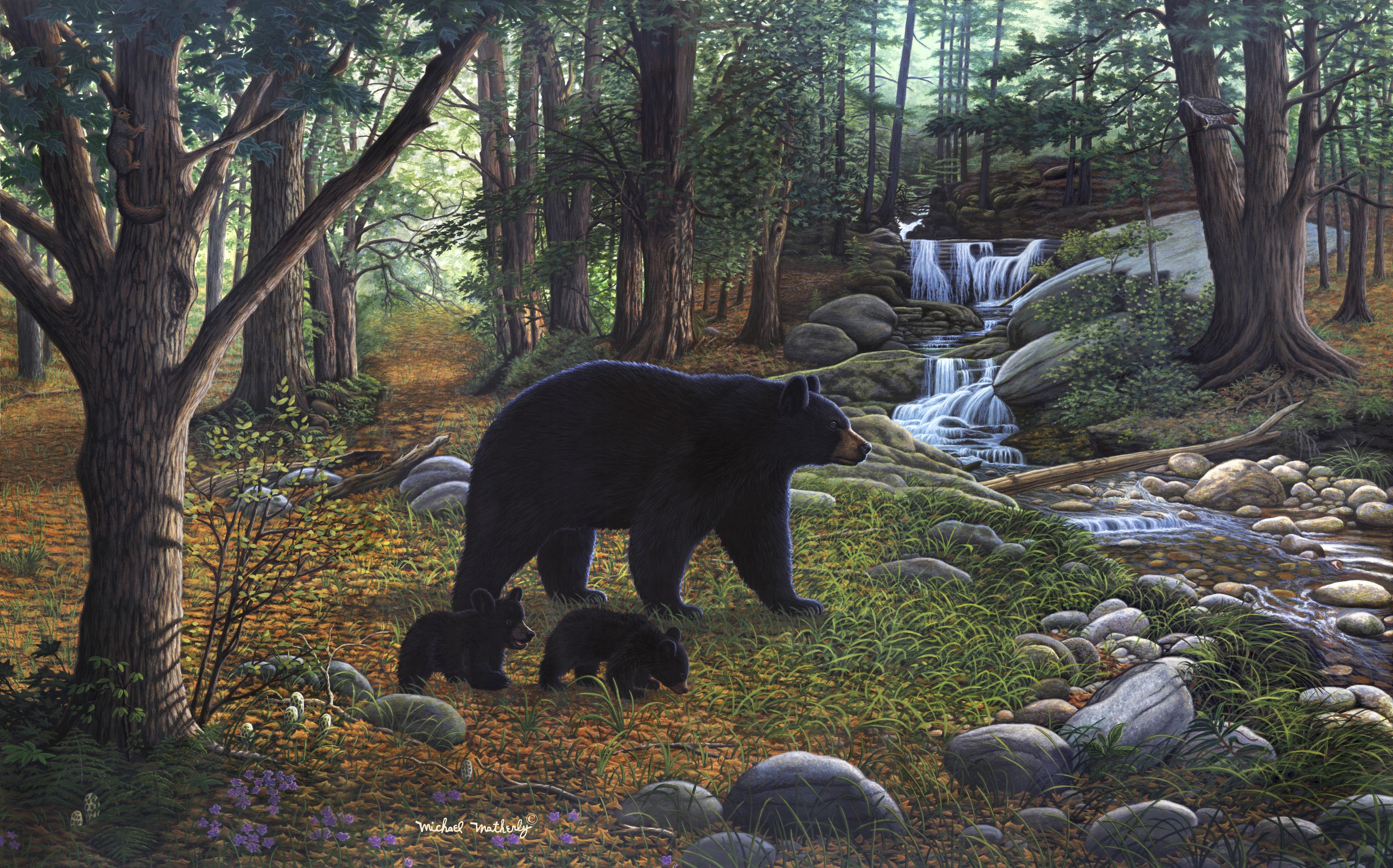 Bears live in forests. "Медведи в лесу" Kim Norlien. Художник Kim Norlien. Пейзаж с медведями. Медведь в лесу.