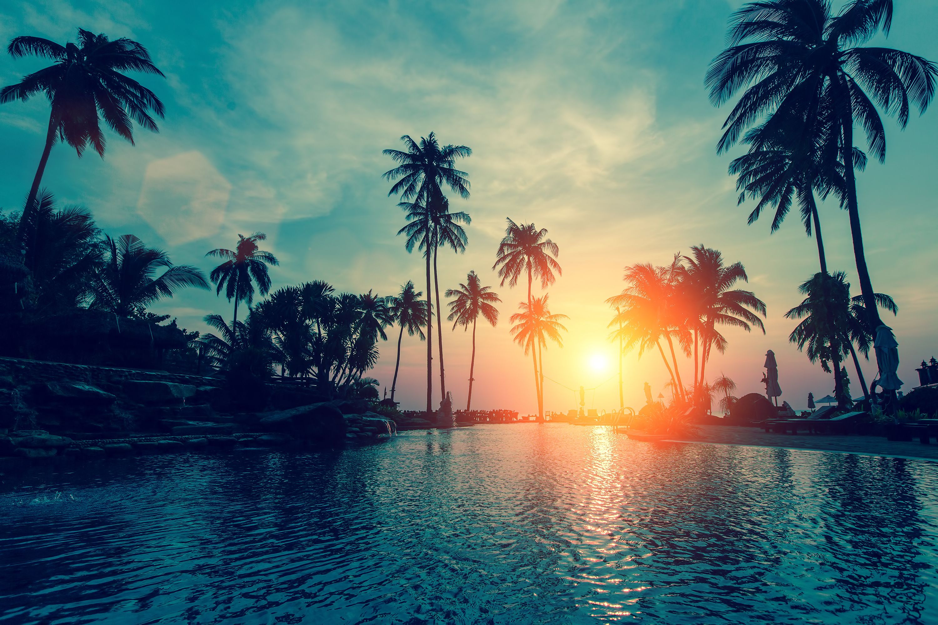 Palm Tree Beach Wallpapers.