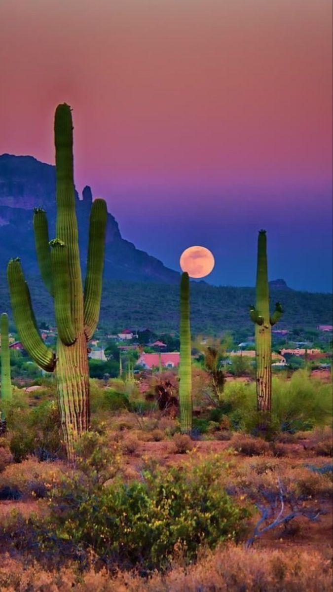 Tucson AZ Wallpapers - 4k, HD Tucson AZ Backgrounds on WallpaperBat