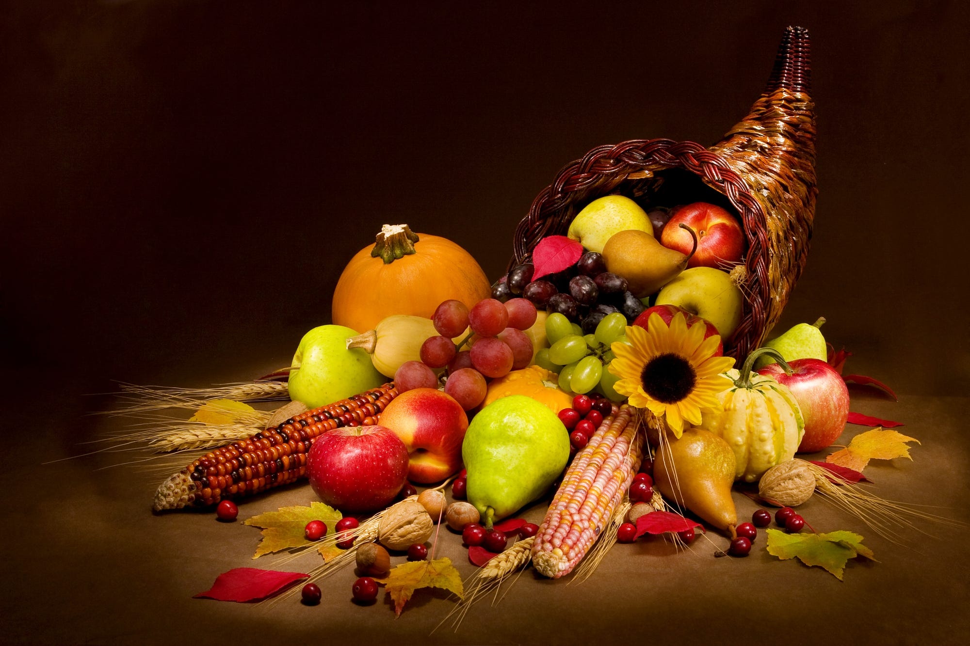 Cornucopia Wallpapers - 4k, HD Cornucopia Backgrounds on WallpaperBat