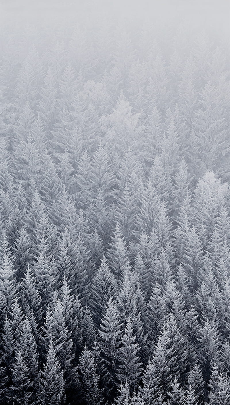Snow iPhone Wallpapers 4k, HD Snow iPhone Backgrounds on WallpaperBat
