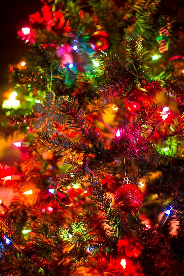 Christmas Tree with Lights Wallpapers - 4k, HD Christmas Tree with ...