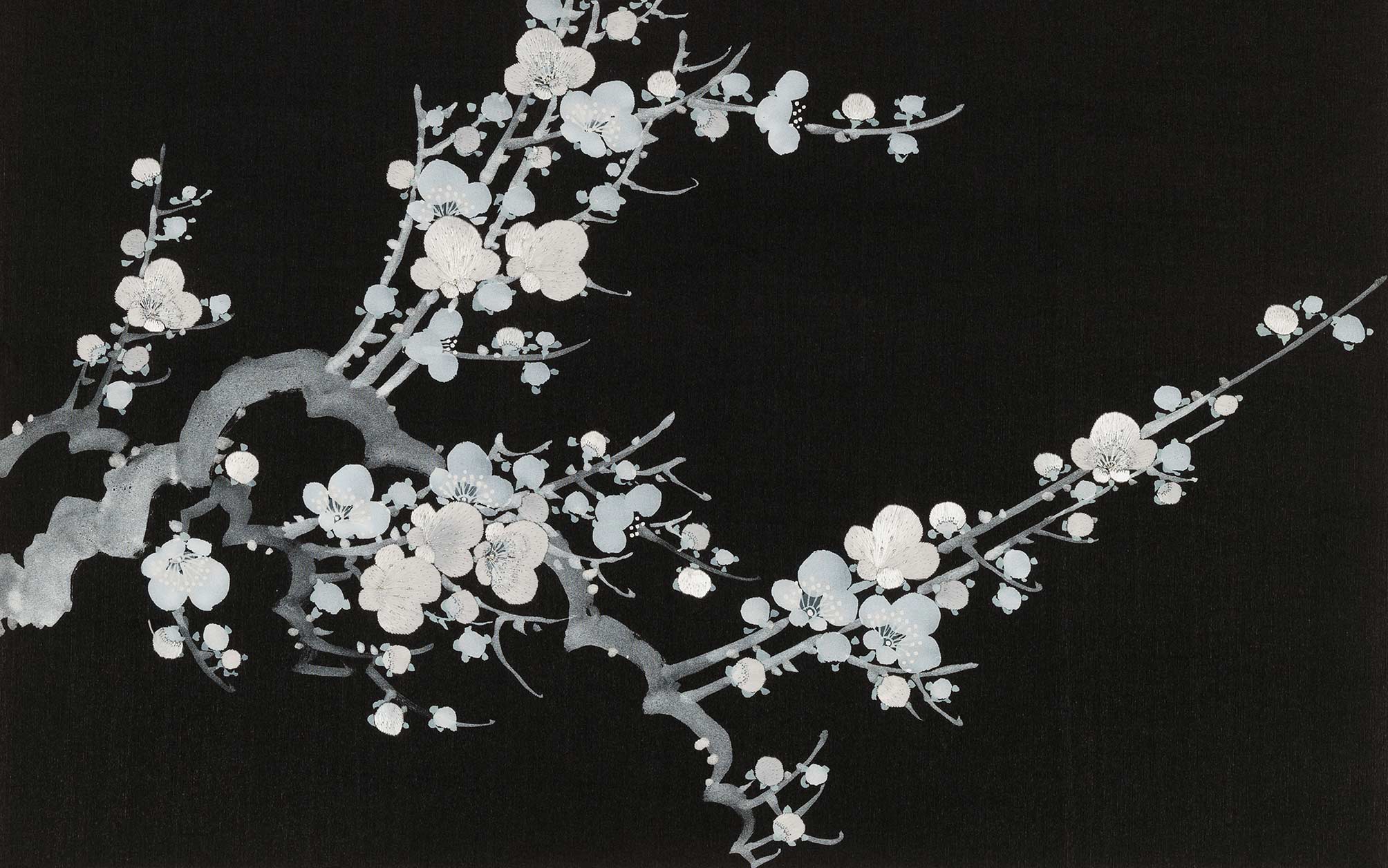 Dark Cherry Blossom Wallpapers - 4k, HD Dark Cherry Blossom Backgrounds on WallpaperBat