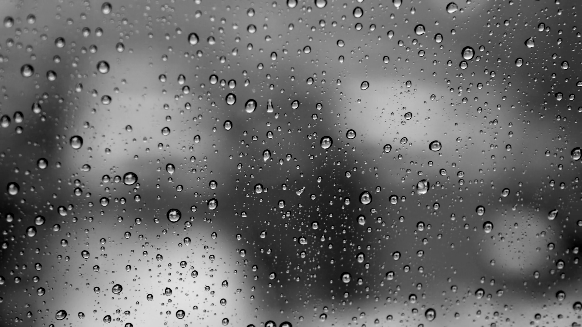 Black and White Rain Wallpapers - 4k, HD Black and White Rain ...