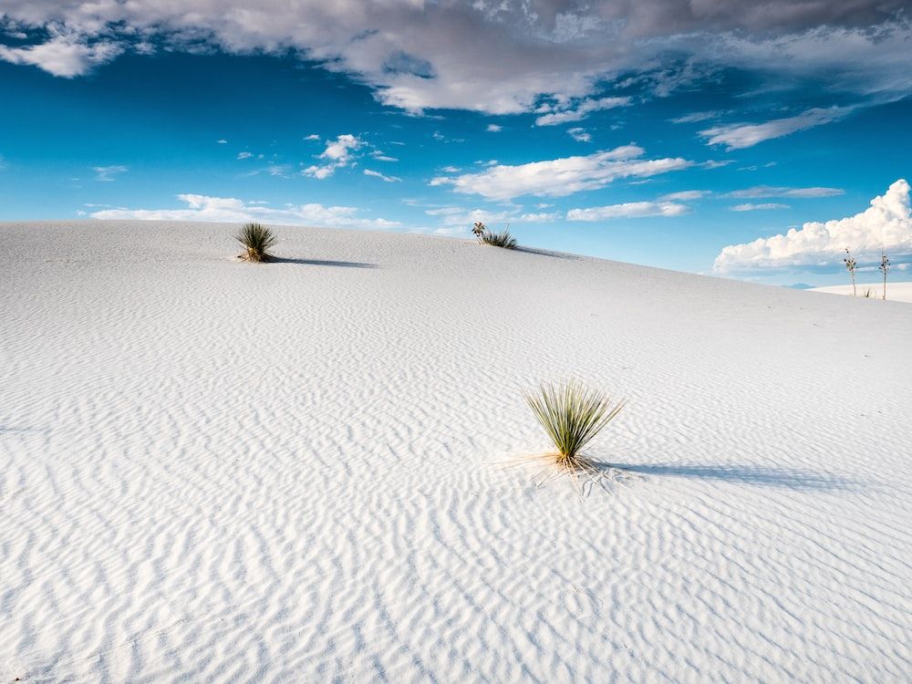 White Sands Desert Wallpapers - 4k, HD White Sands Desert Backgrounds on  WallpaperBat