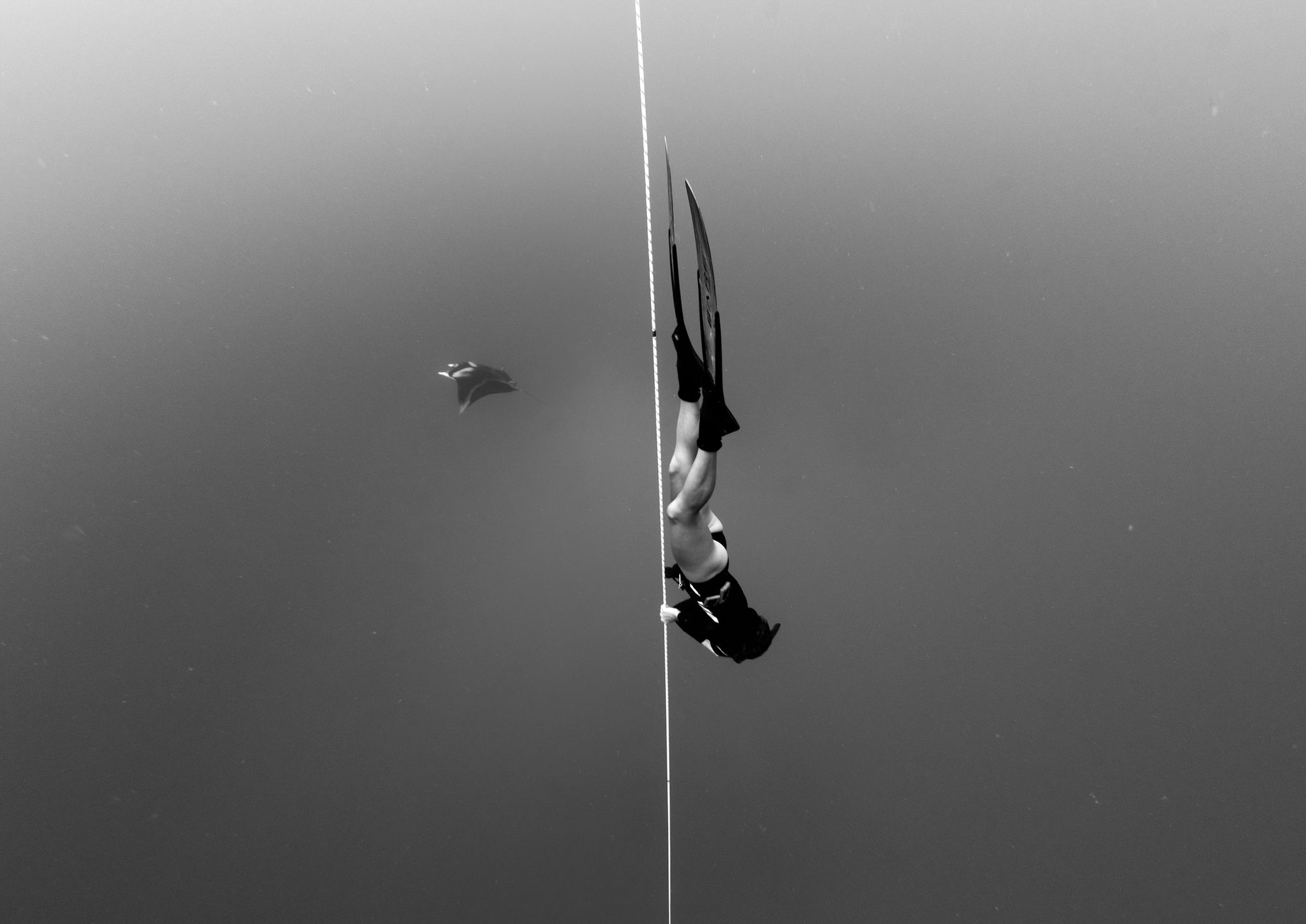 Freediving Wallpapers - 4k, HD Freediving Backgrounds on WallpaperBat