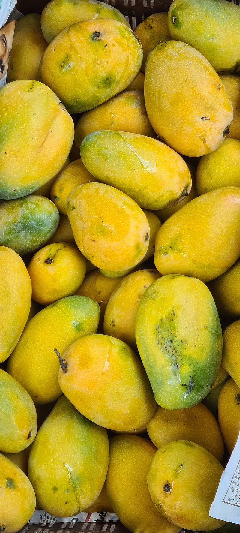 800x1776 <b>Mango</b>, , food, fruits, water, HD phone wallpaper on WallpaperBat.