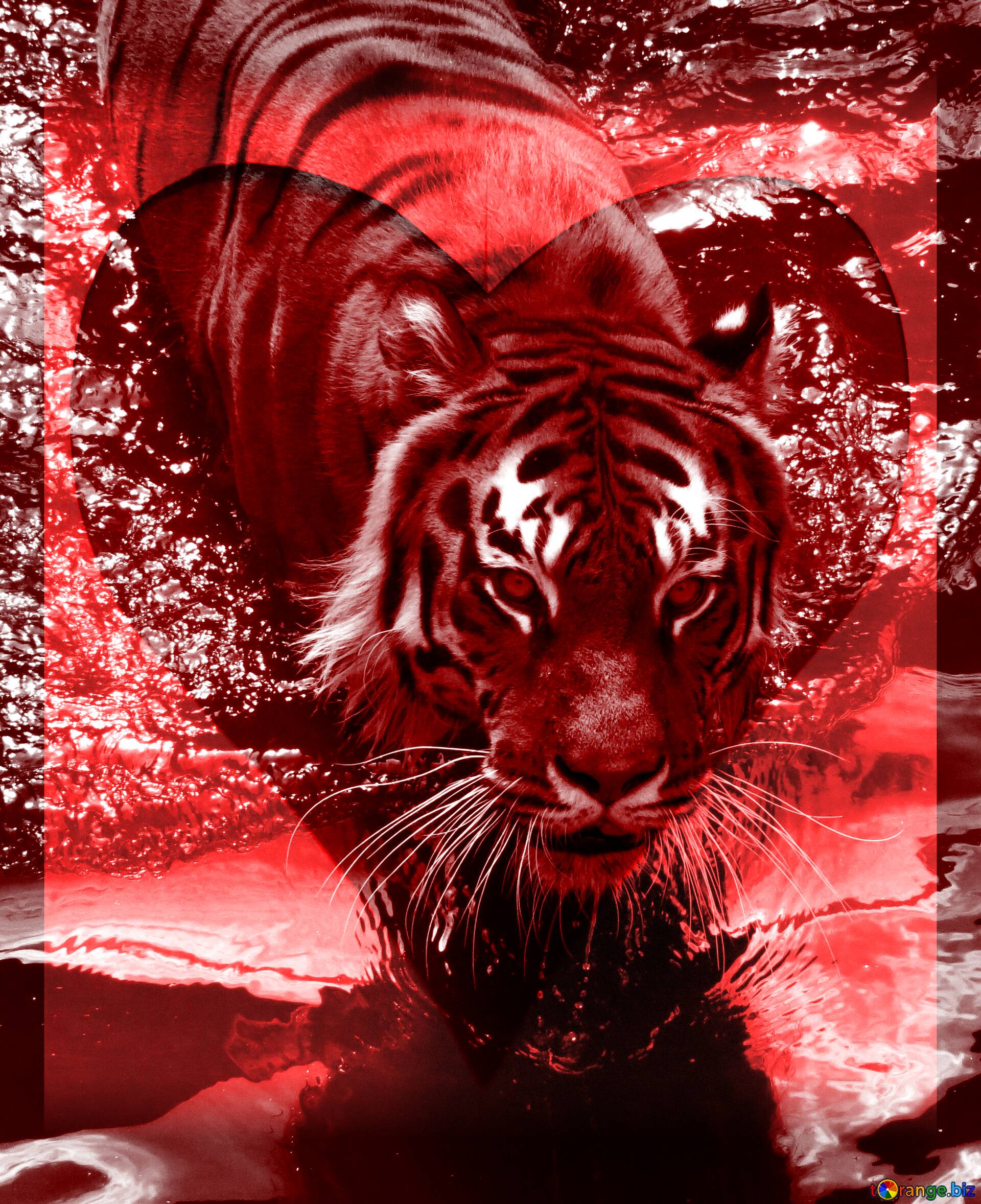 Red Tiger Wallpapers - 4k, HD Red Tiger Backgrounds on WallpaperBat