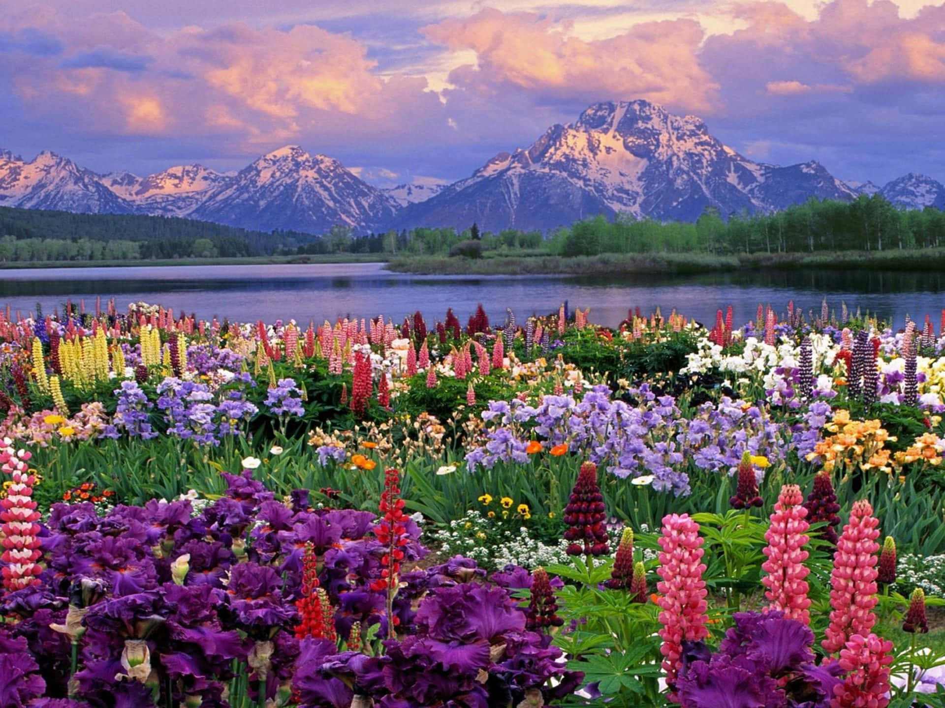 Spring Time Wallpapers - 4k, HD Spring Time Backgrounds on WallpaperBat