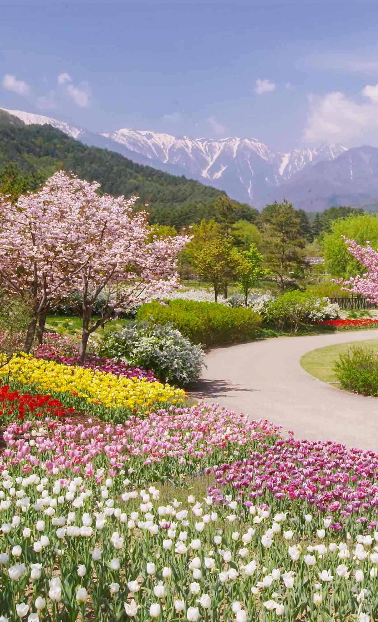 Spring Time Wallpapers - 4k, HD Spring Time Backgrounds on WallpaperBat