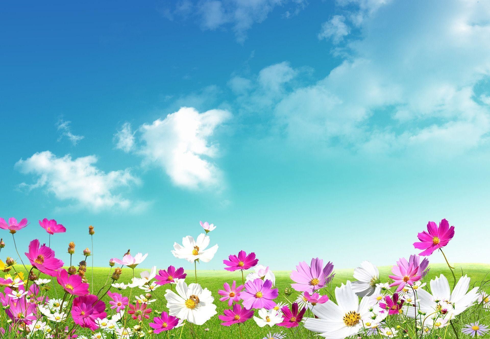 Spring Time Wallpapers - 4k, HD Spring Time Backgrounds on WallpaperBat