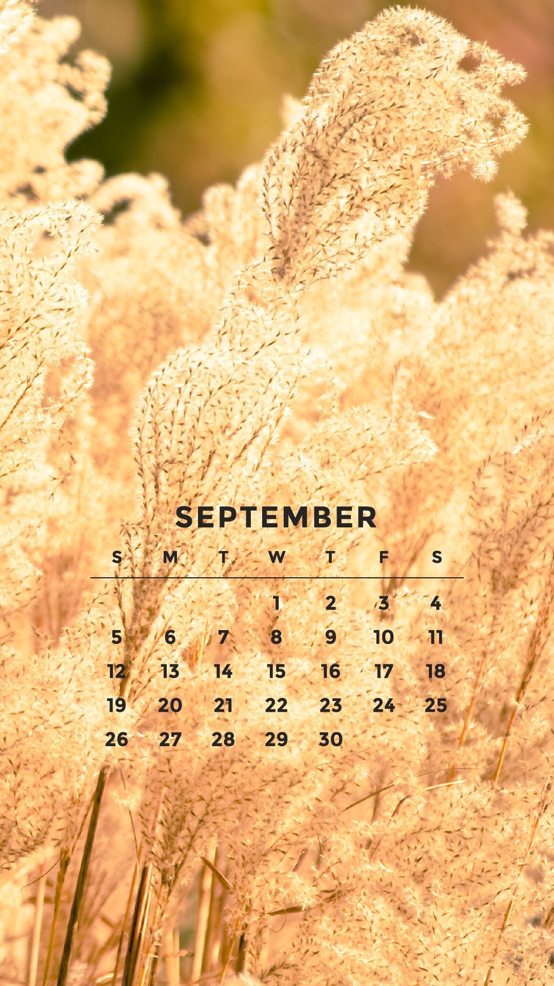 September iPhone Wallpapers - 4k, HD September iPhone Backgrounds on ...