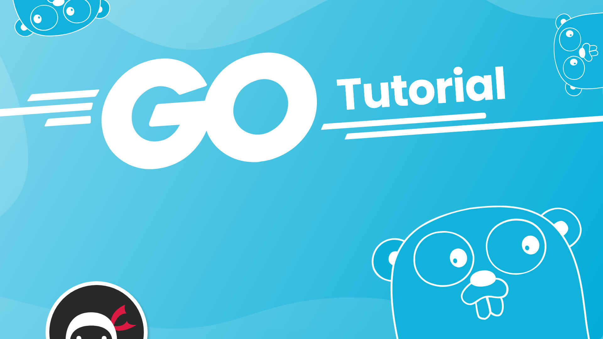 Golang Wallpapers - 4k, HD Golang Backgrounds on WallpaperBat