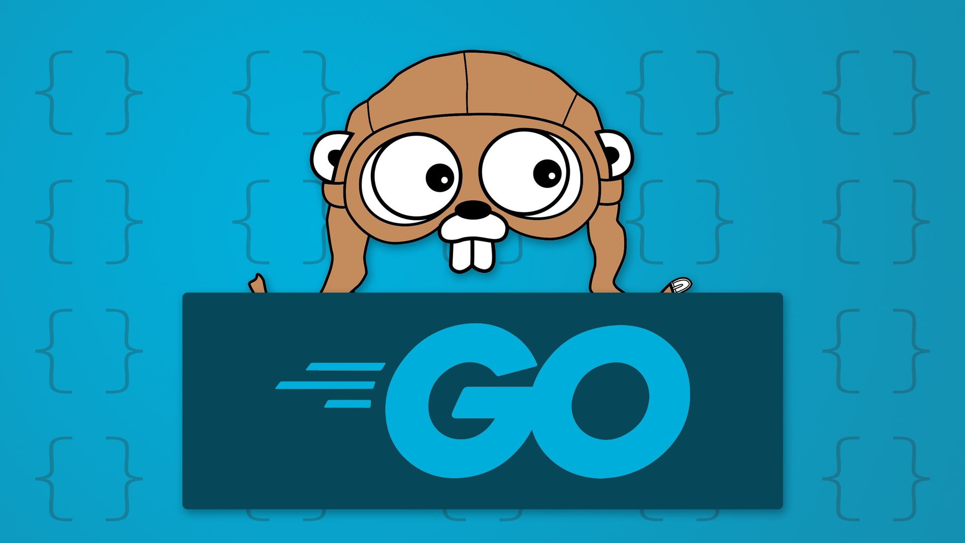 Golang Wallpapers - 4k, HD Golang Backgrounds on WallpaperBat