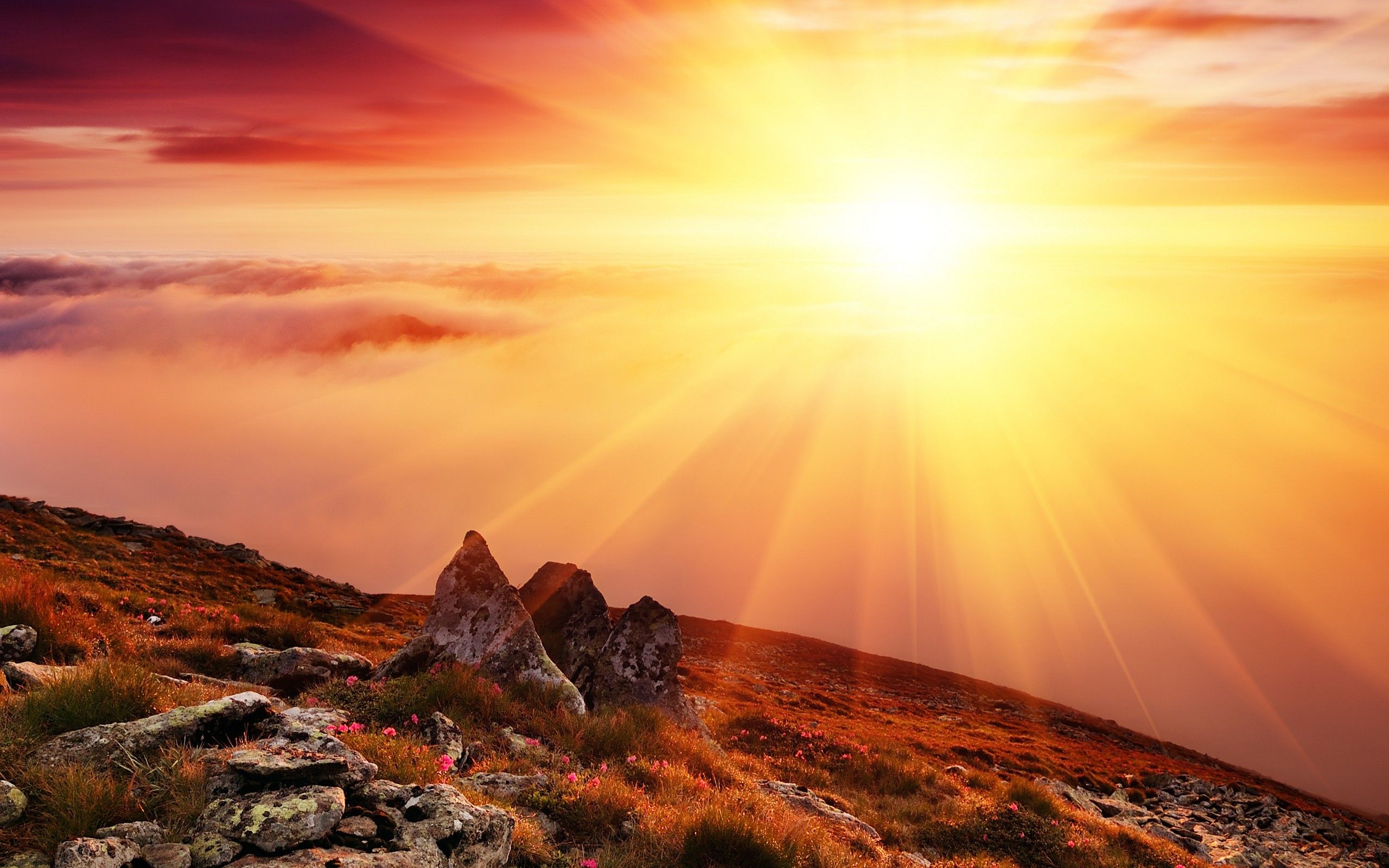 fall-sunrise-wallpapers-4k-hd-fall-sunrise-backgrounds-on-wallpaperbat