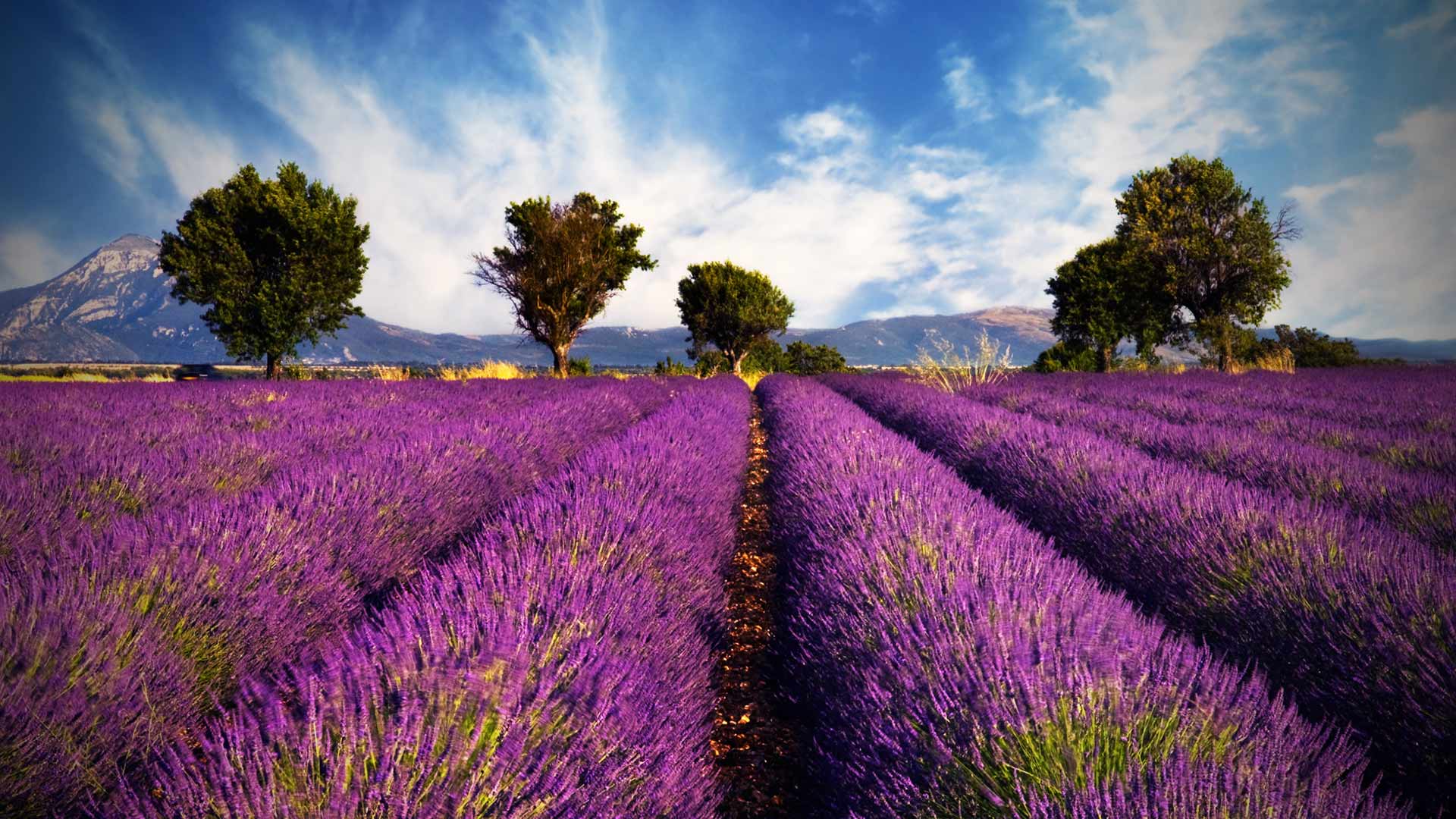 Provence France Desktop Wallpapers - 4k, HD Provence France Desktop