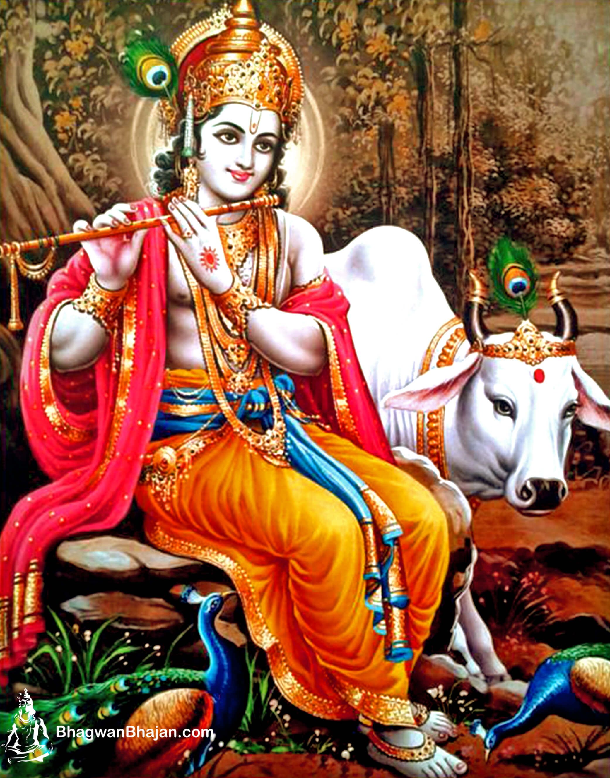 God Krishna Wallpapers - 4k, HD God Krishna Backgrounds on WallpaperBat