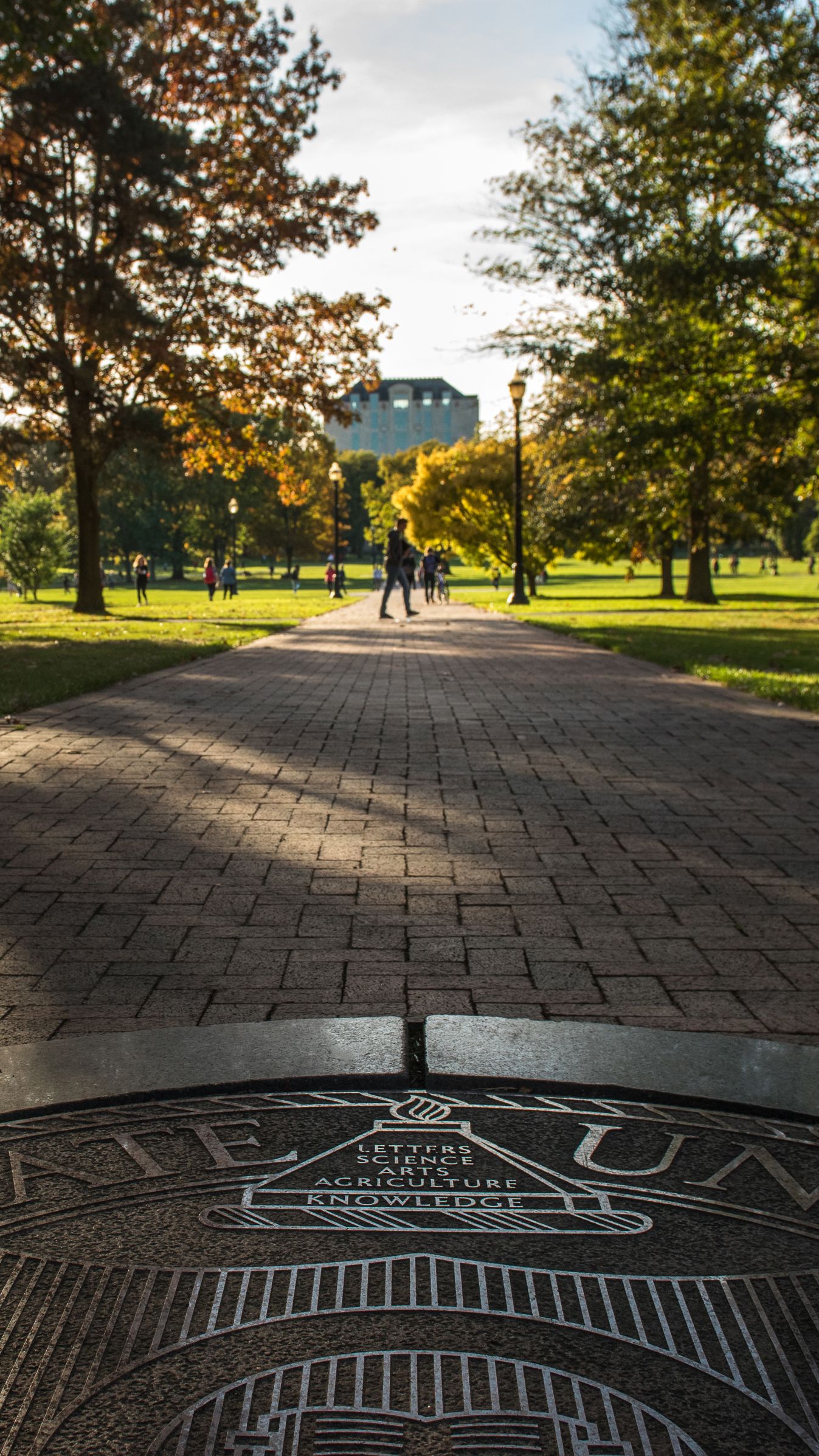 Ohio State University Wallpapers - 4k, HD Backgrounds on WallpaperBat