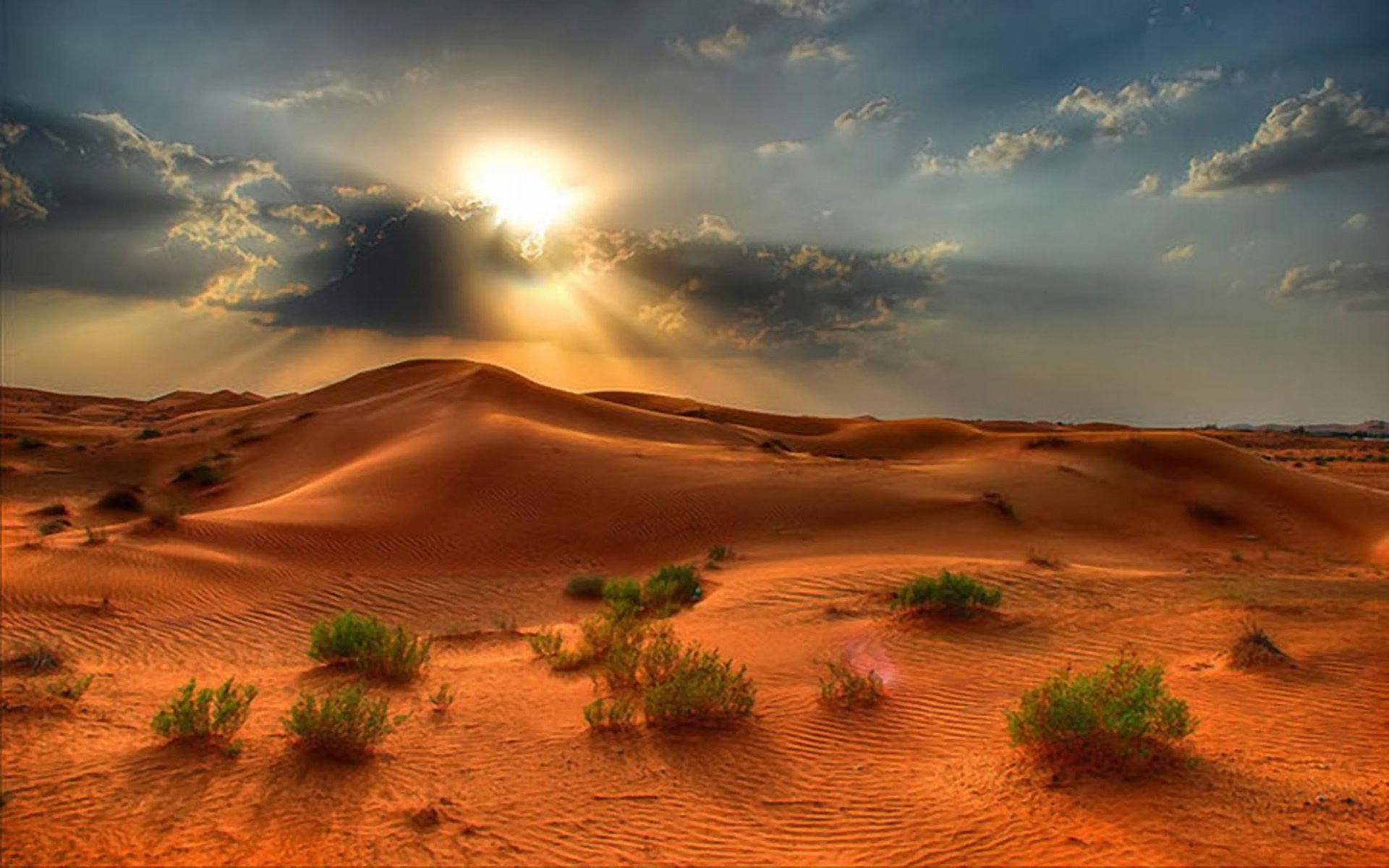 1920x1200 Desert Landscape Summer Sunset In The Desert Red Sand Beautiful on WallpaperBat