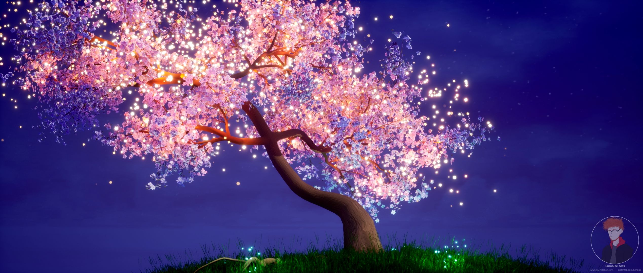 Cherry Blossom Wallpapers - 4k, HD Cherry Blossom Backgrounds on