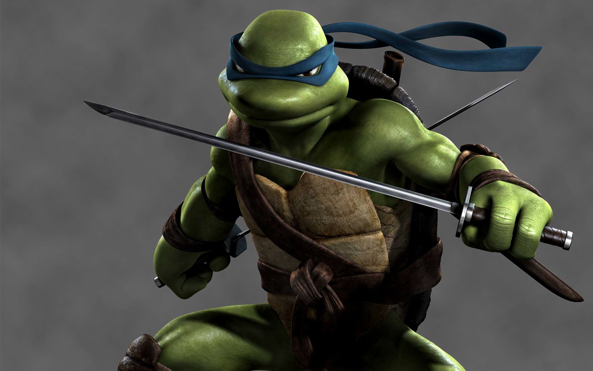 Leonardo Ninja Turtle Wallpapers - 4k, HD Leonardo Ninja Turtle ...