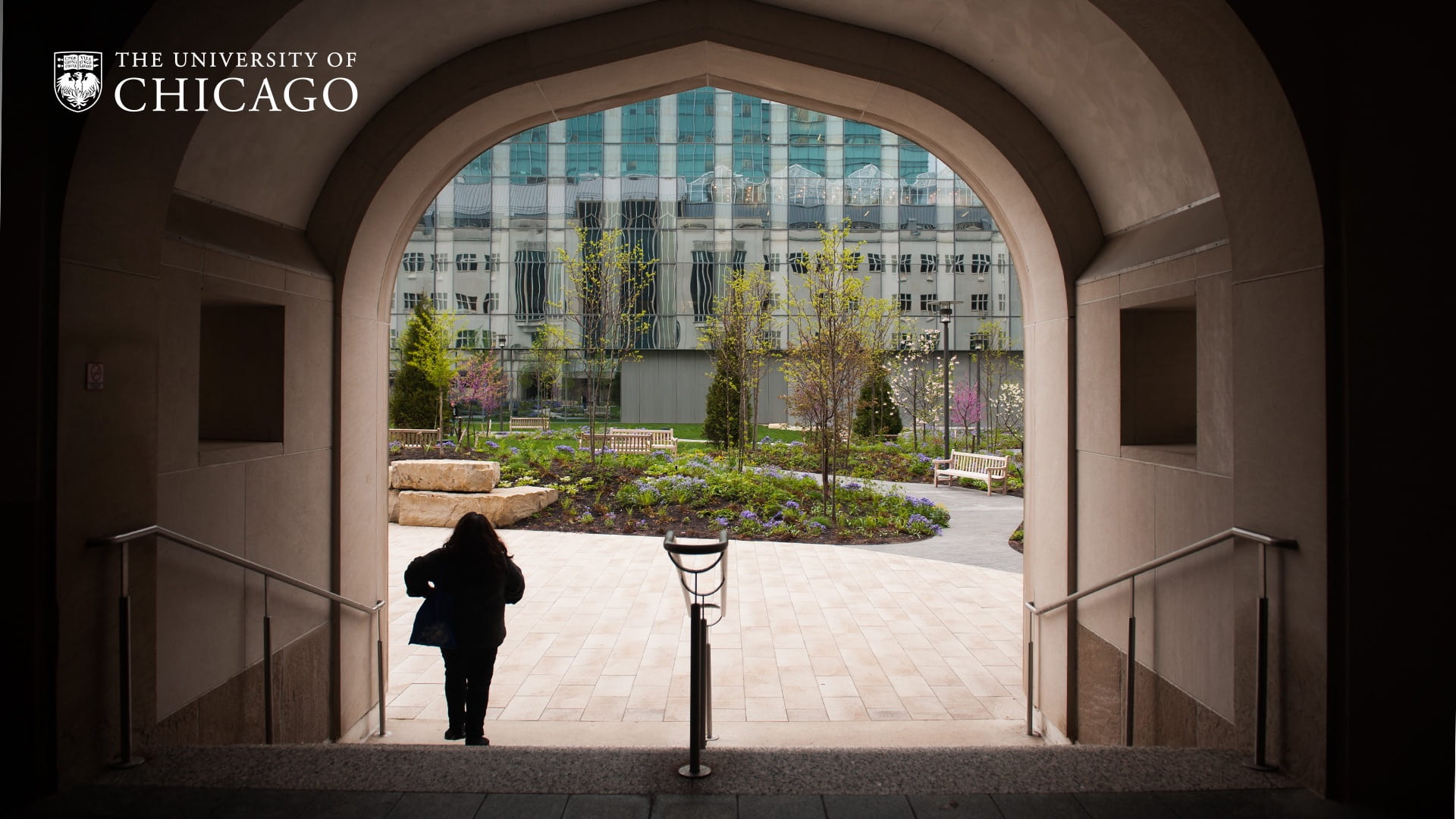 University Of Chicago Wallpapers - 4k, HD University Of Chicago ...