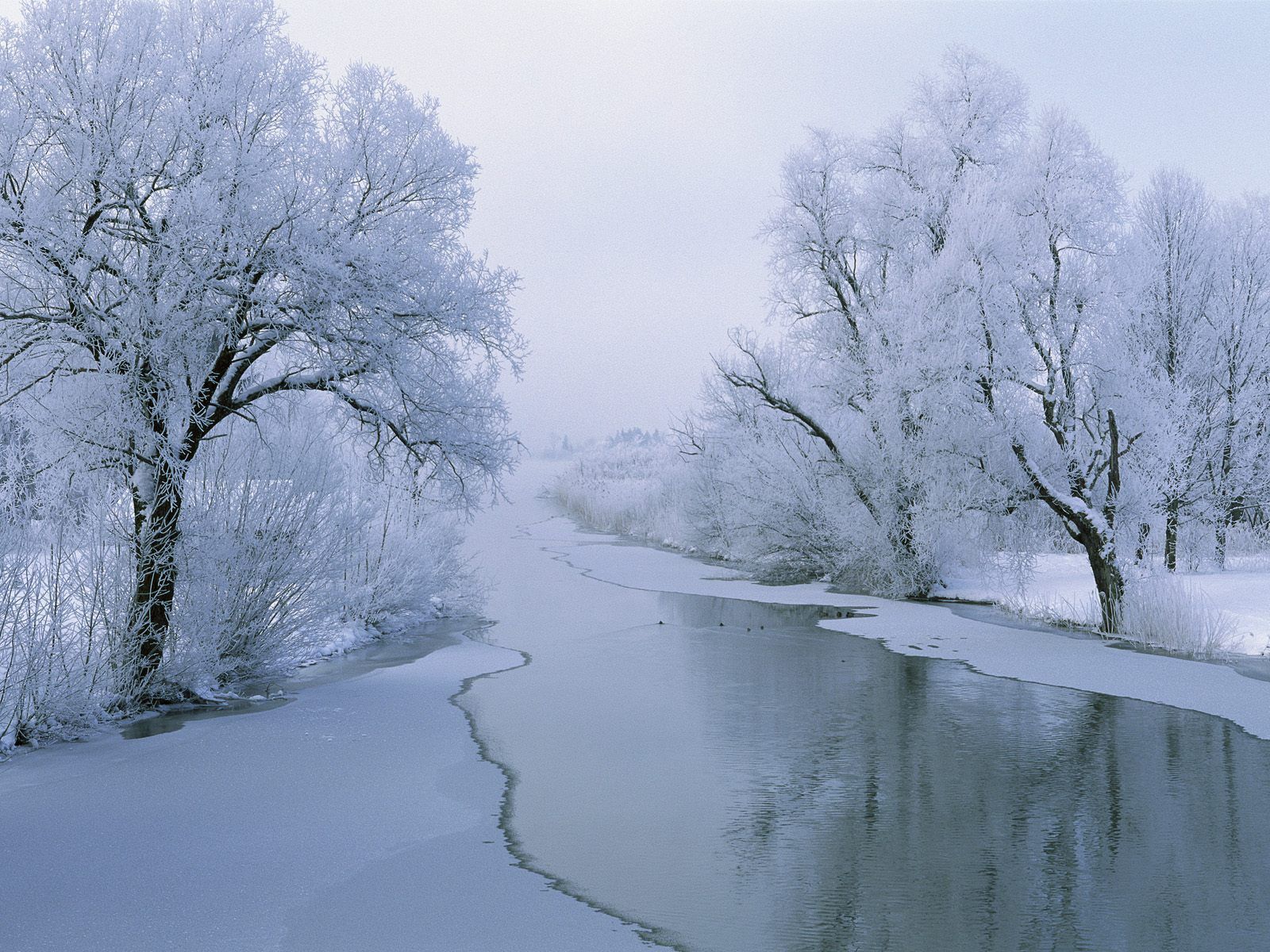 1600x1200 wisconsin winter photos | Download Landscape White Winter Snow Ice ... Wallpaper