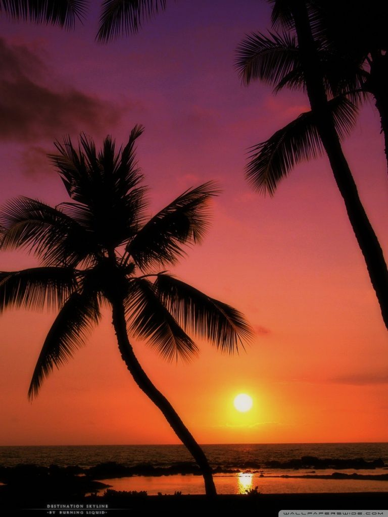 Tropical Beach Sunset iPhone Wallpapers - 4k, HD Tropical Beach Sunset ...