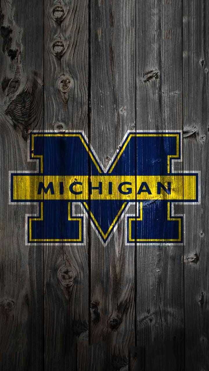 Michigan Wolverines Wallpapers - 4k, HD Michigan Wolverines Backgrounds ...