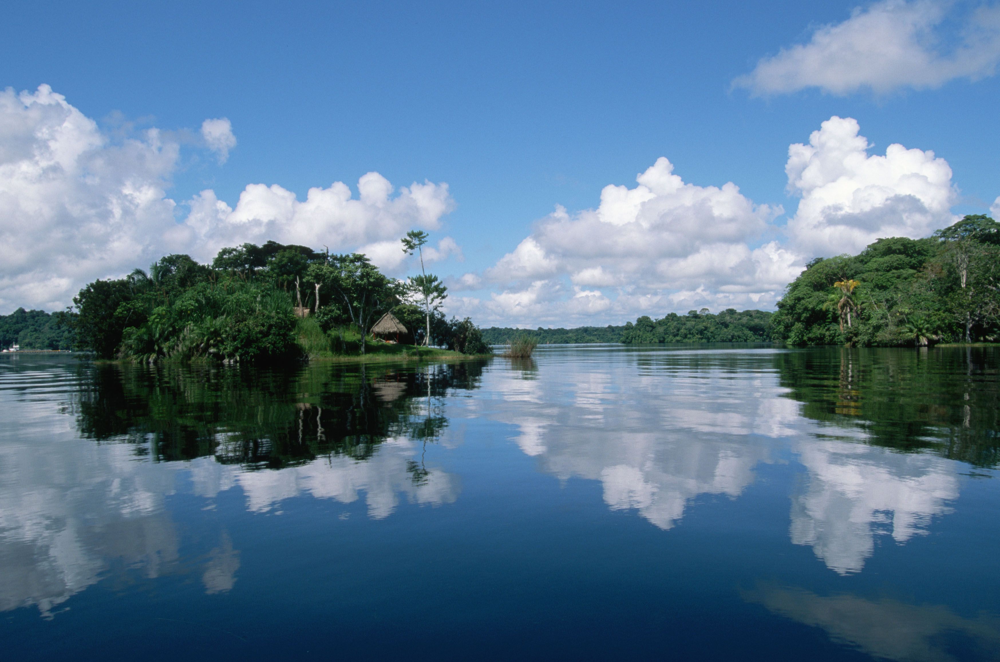 Amazon River Wallpapers - 4k, HD Amazon River Backgrounds on WallpaperBat