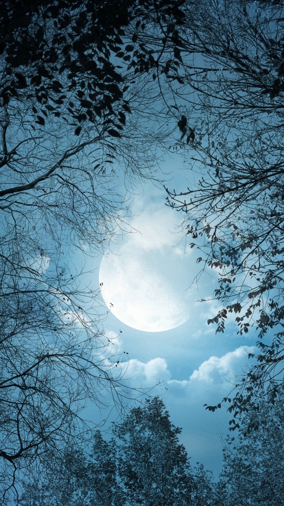 Night Moon Wallpapers - 4k, HD Night Moon Backgrounds on WallpaperBat