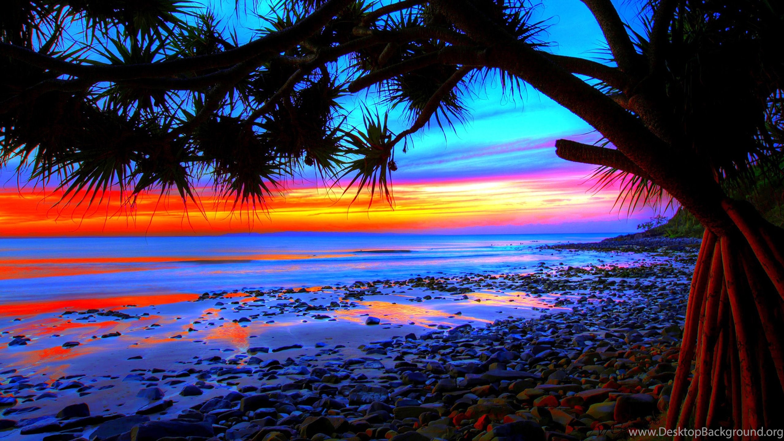 Tropical Beach Sunset Wallpapers 4k Hd Tropical Beach Sunset Backgrounds On Wallpaperbat