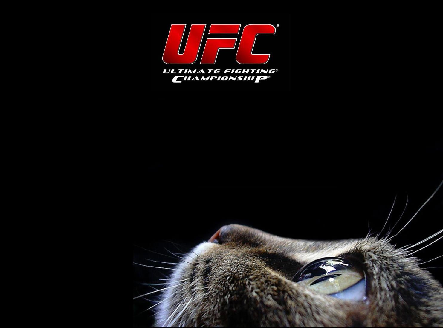 Ufc Logo Wallpapers 4k Hd Ufc Logo Backgrounds On Wallpaperbat