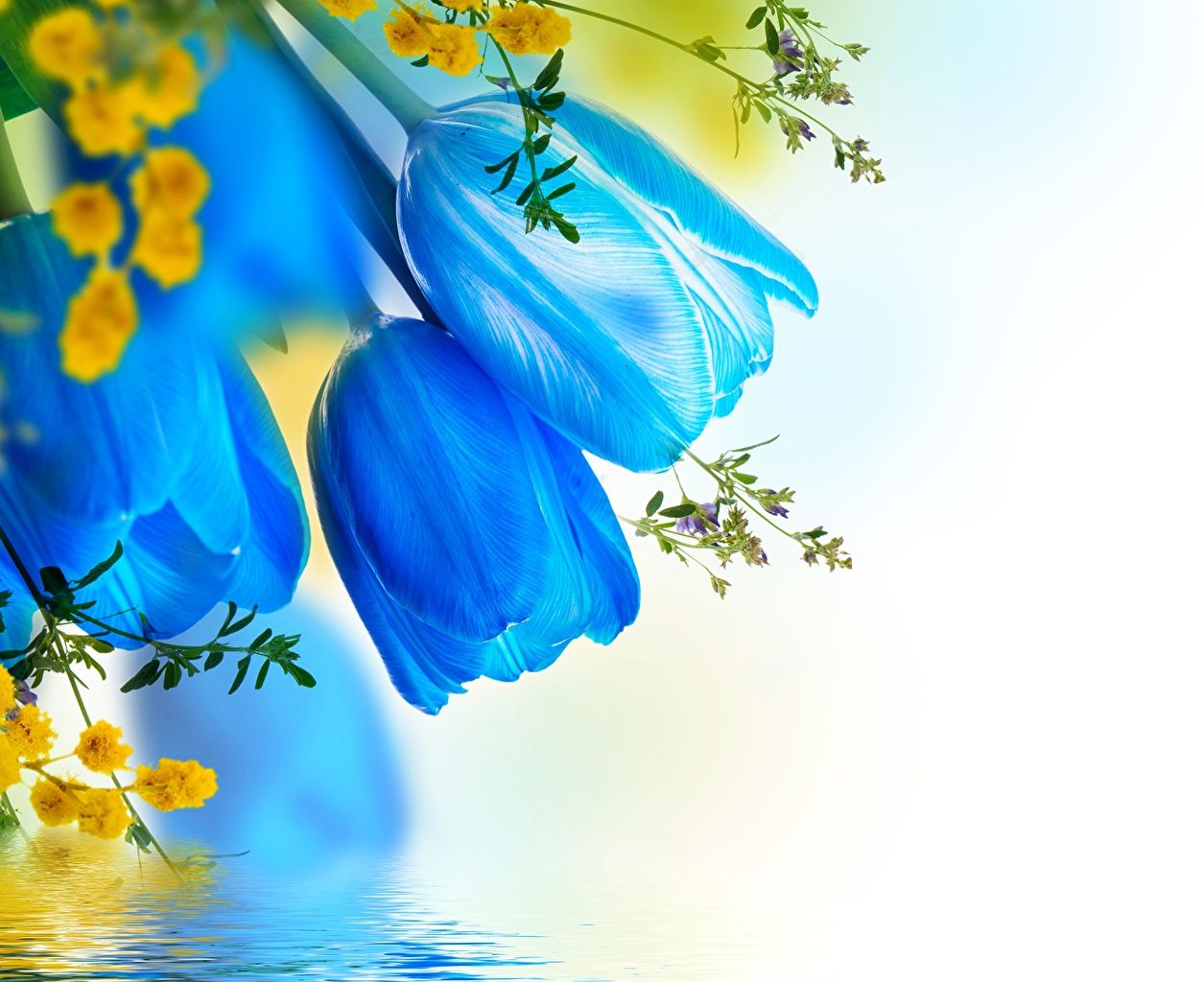 Light Blue Flower Wallpapers - 4k, HD Light Blue Flower Backgrounds on WallpaperBat