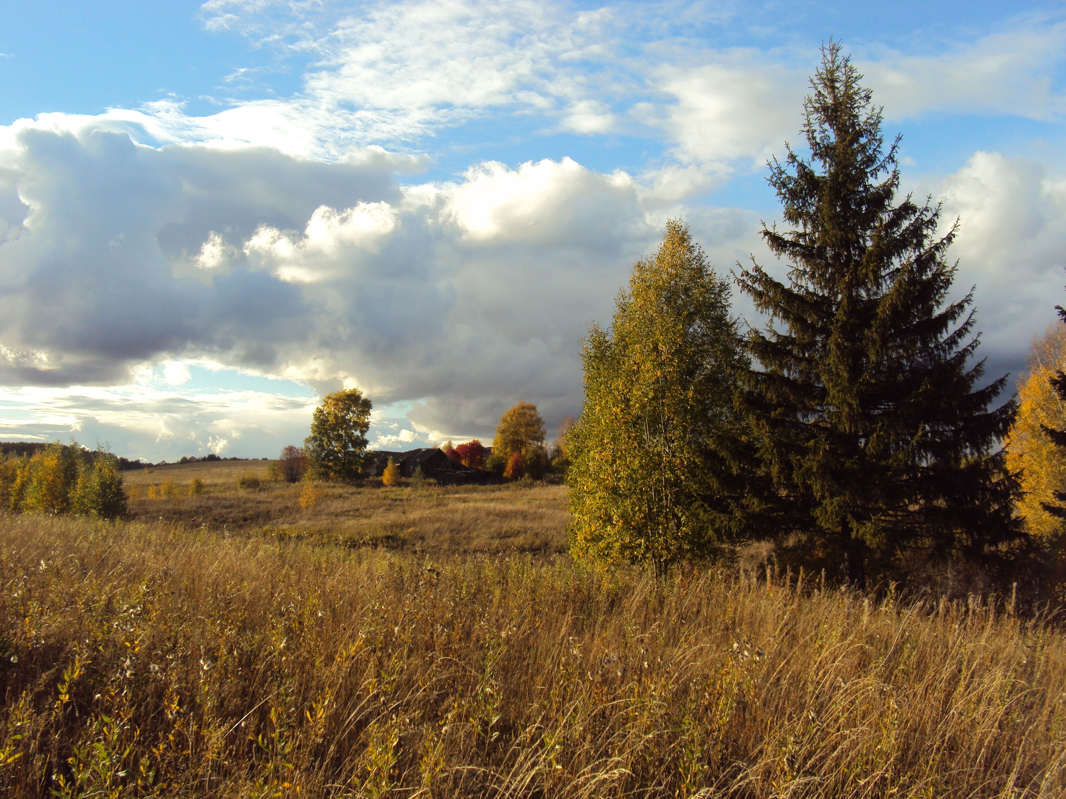 Autumn Meadow Wallpapers - 4k, HD Autumn Meadow Backgrounds on WallpaperBat