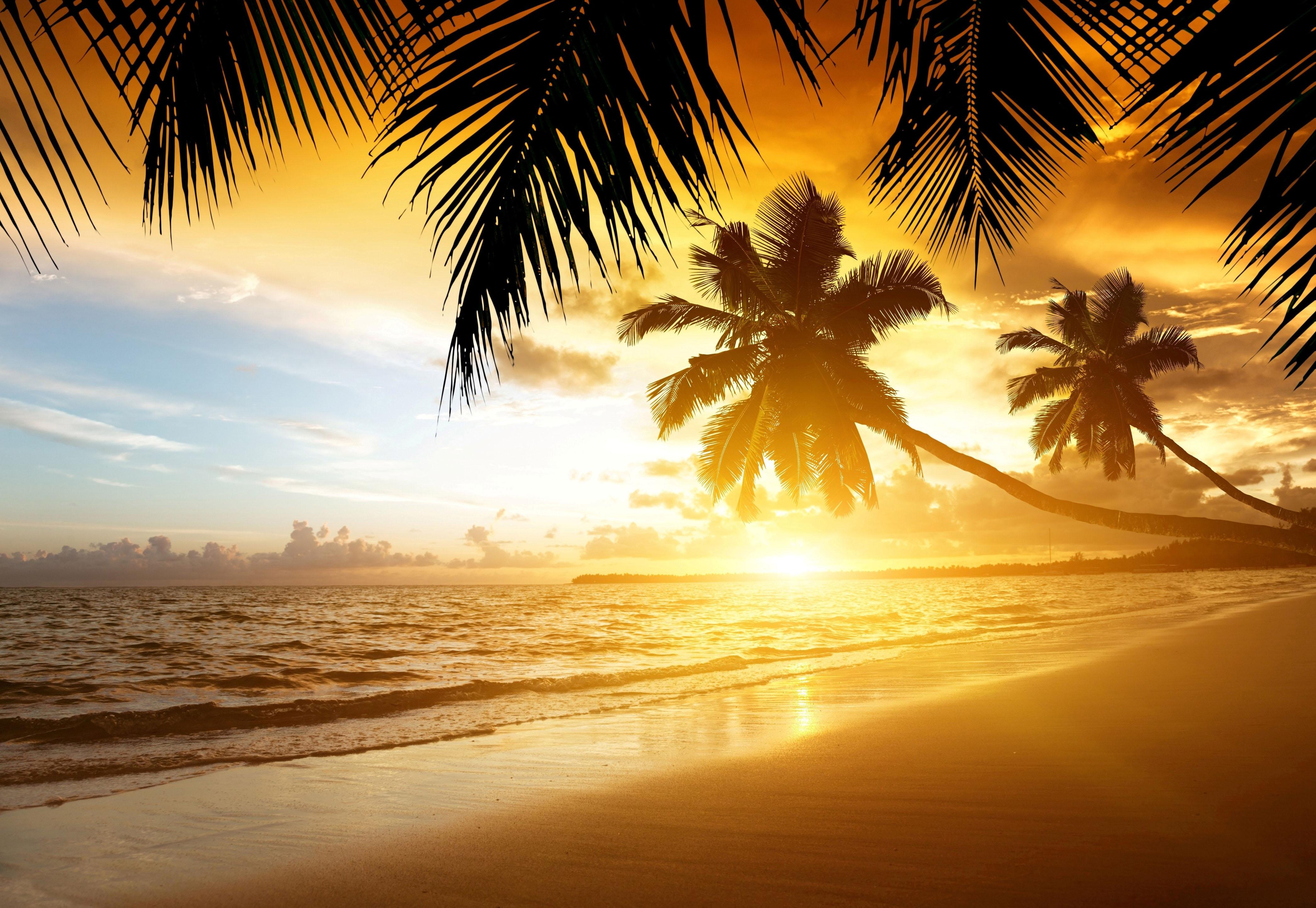 Tropical Beach Sunrise Wallpapers - 4k, HD Tropical Beach Sunrise ...