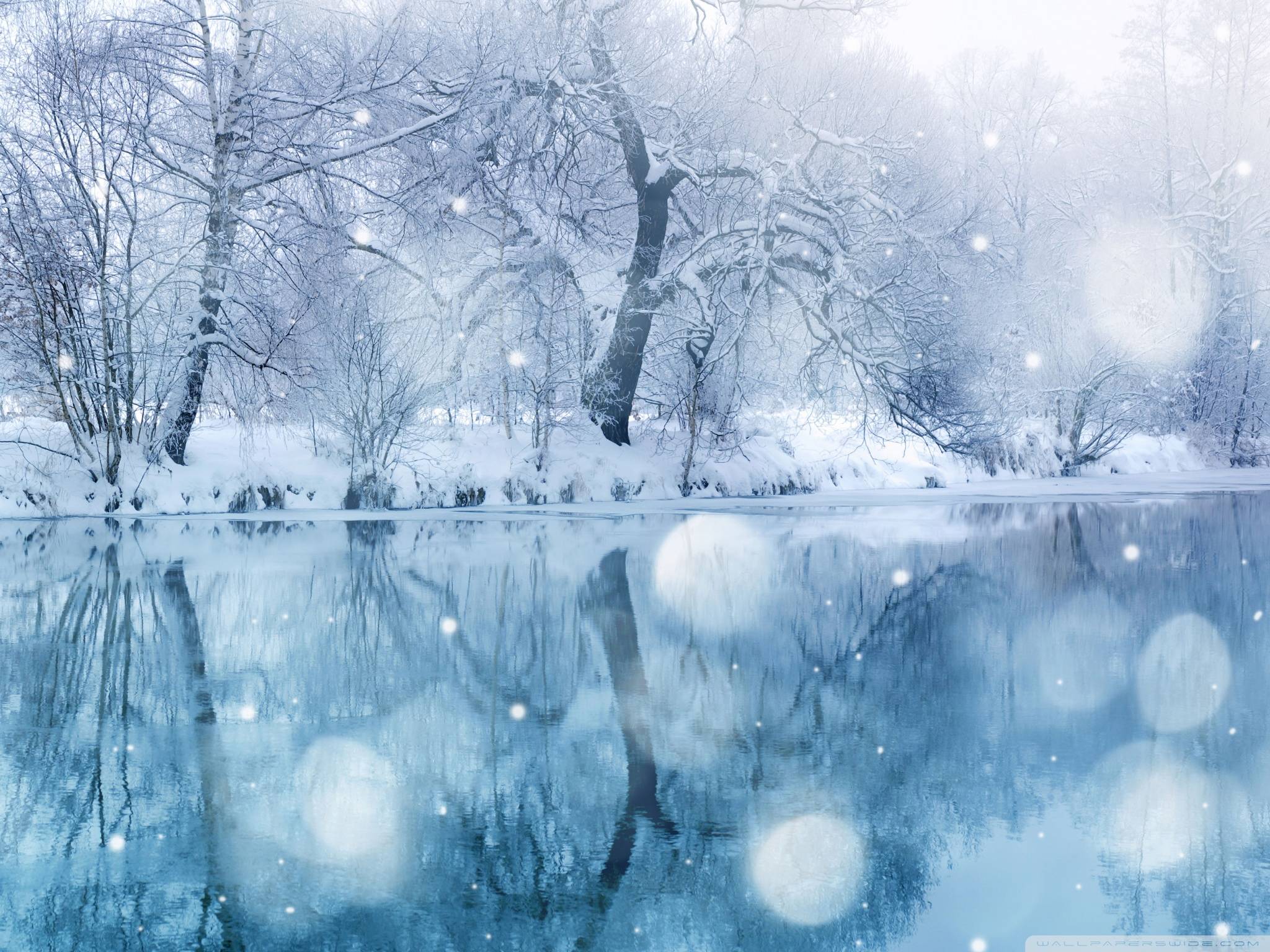 Live Winter Wallpapers - 4k, HD Live Winter Backgrounds on WallpaperBat