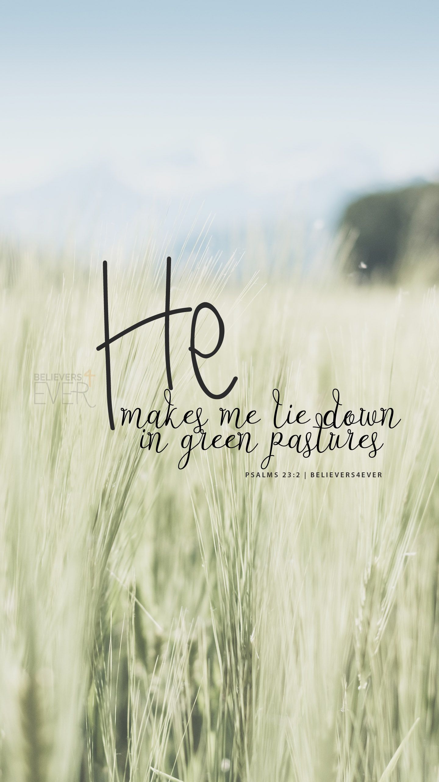 Green Pastures Wallpapers 4k HD Green Pastures Backgrounds On green-pastures-wallpapers-4k-hd-green-pastures-backgrounds-on