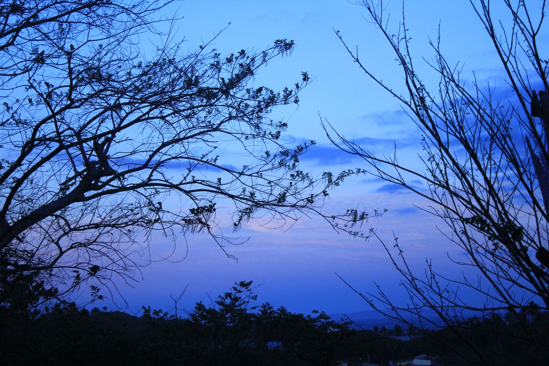 Blue Nature Wallpapers - 4k, HD Blue Nature Backgrounds on WallpaperBat